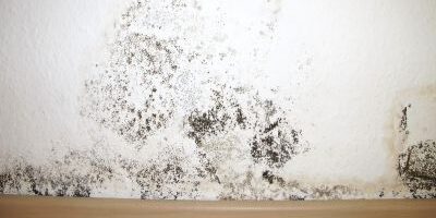 Mold remediation work