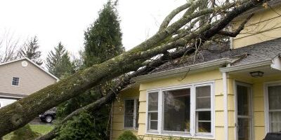 Storm damage response